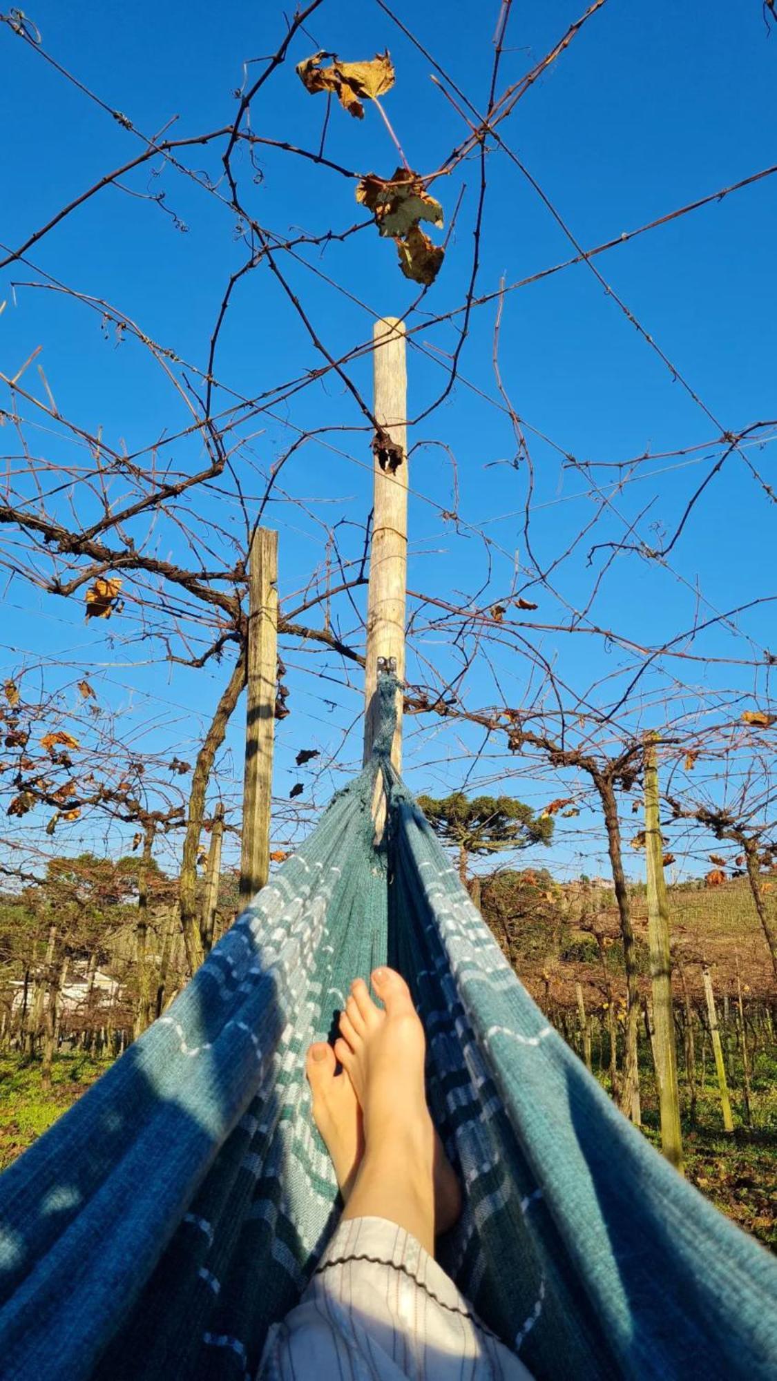 Cabanas Le Vigne Pinto Bandeira Екстер'єр фото
