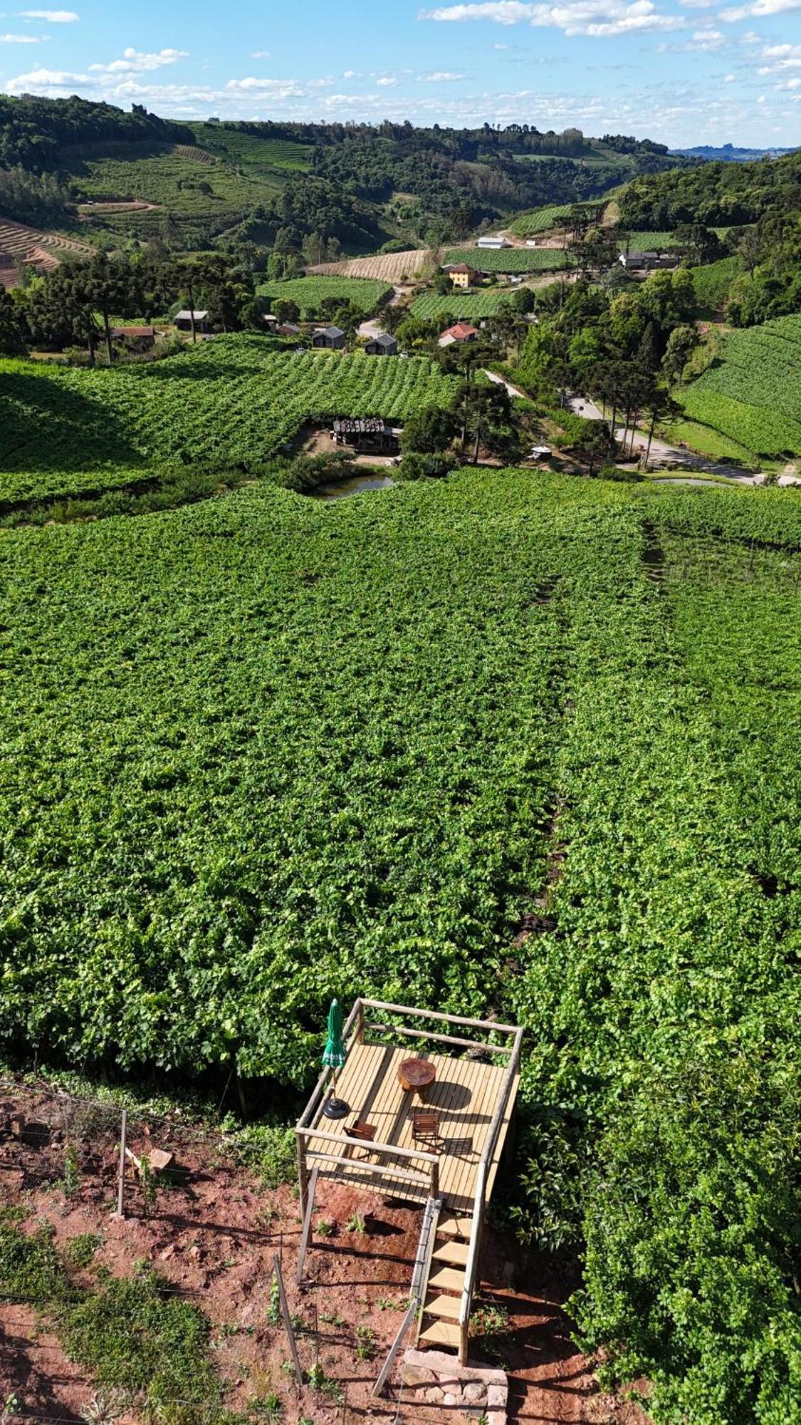 Cabanas Le Vigne Pinto Bandeira Екстер'єр фото