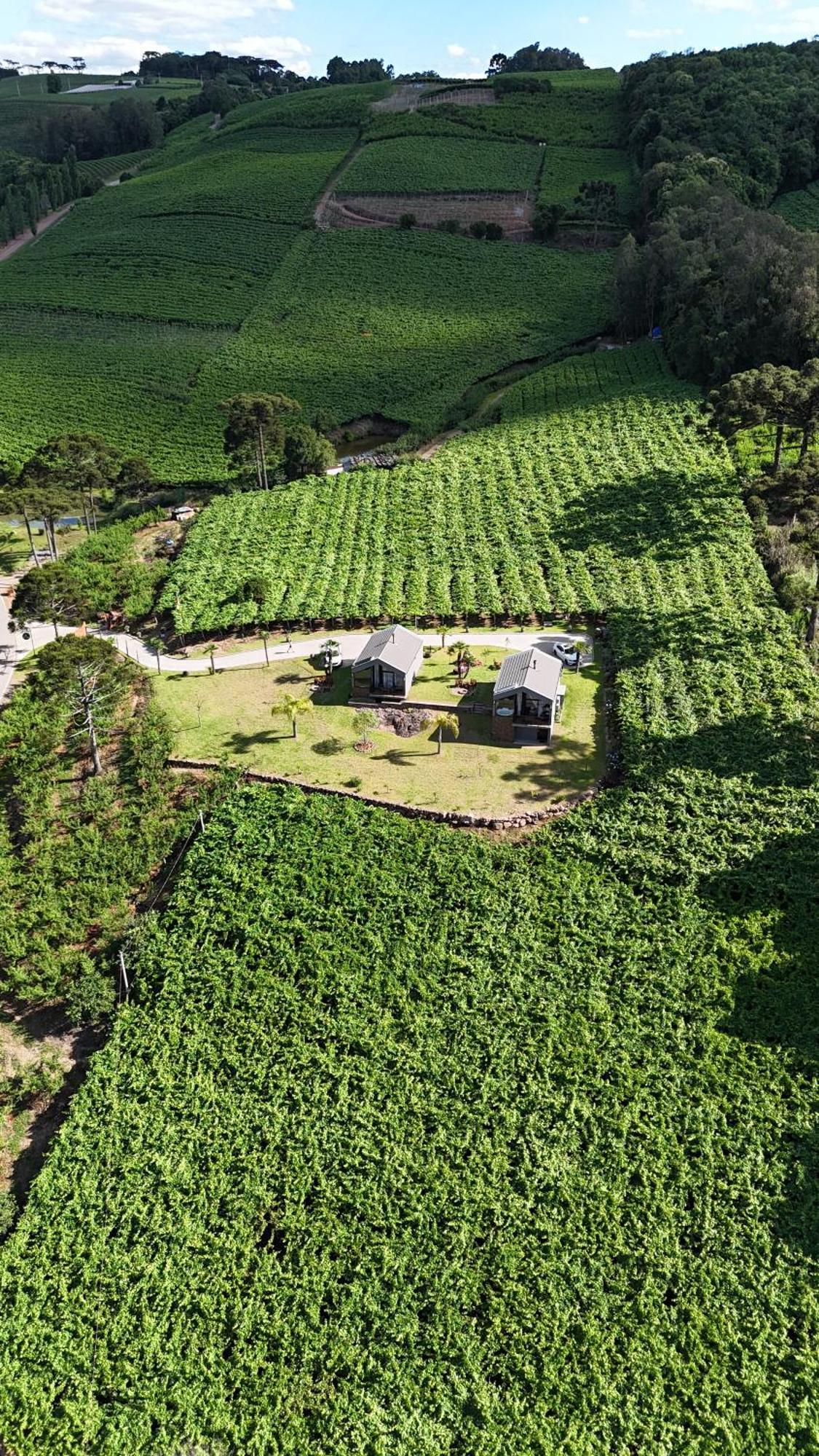 Cabanas Le Vigne Pinto Bandeira Екстер'єр фото