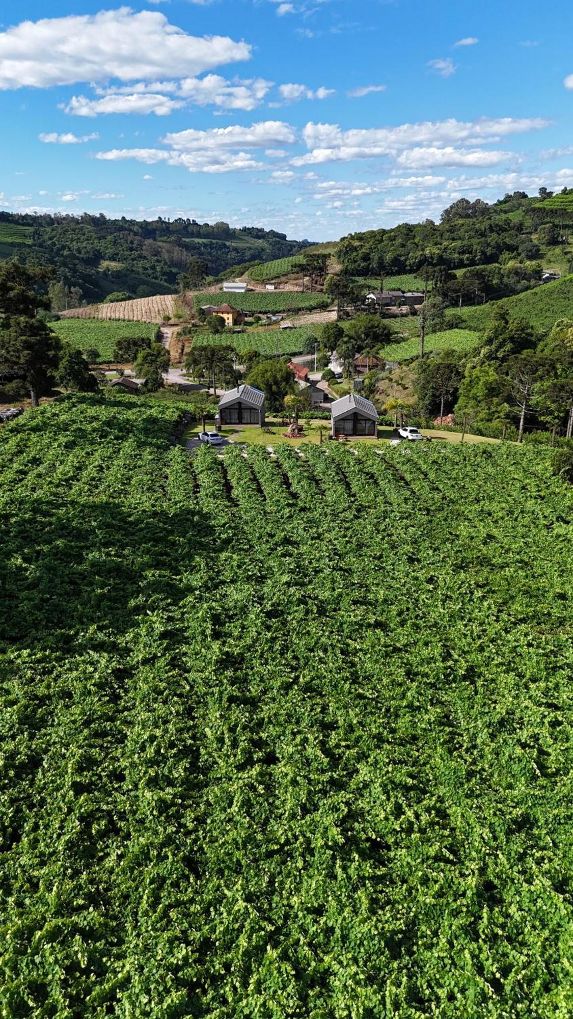 Cabanas Le Vigne Pinto Bandeira Екстер'єр фото