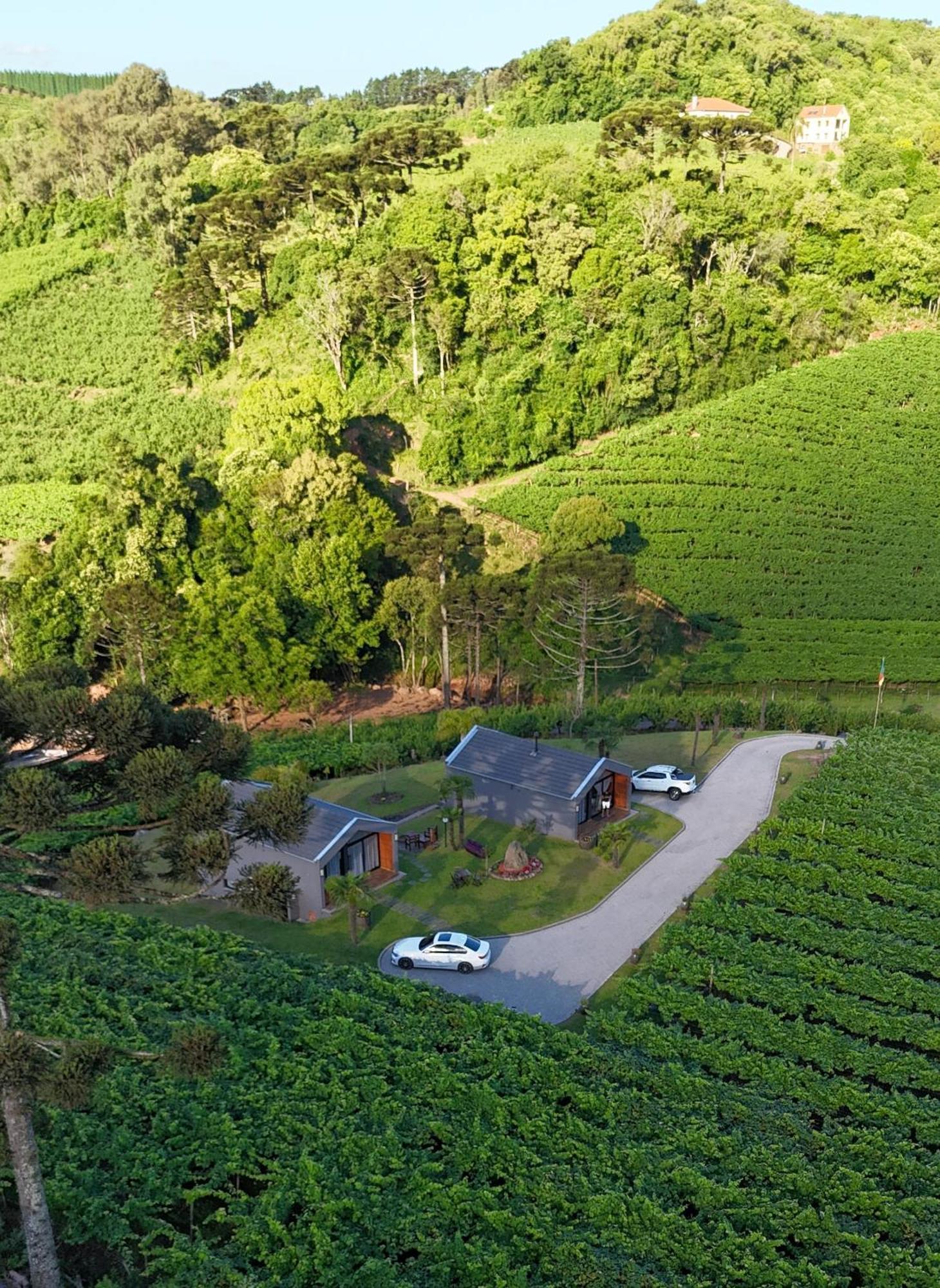 Cabanas Le Vigne Pinto Bandeira Екстер'єр фото